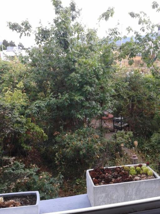 Logement Independant Κολμάρ Εξωτερικό φωτογραφία