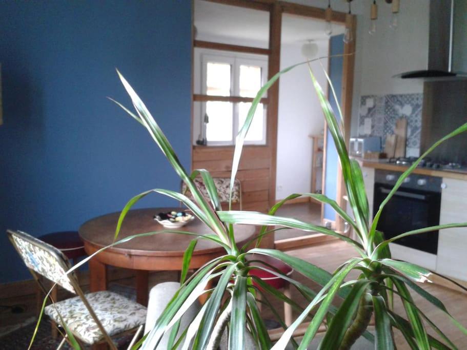 Logement Independant Κολμάρ Εξωτερικό φωτογραφία